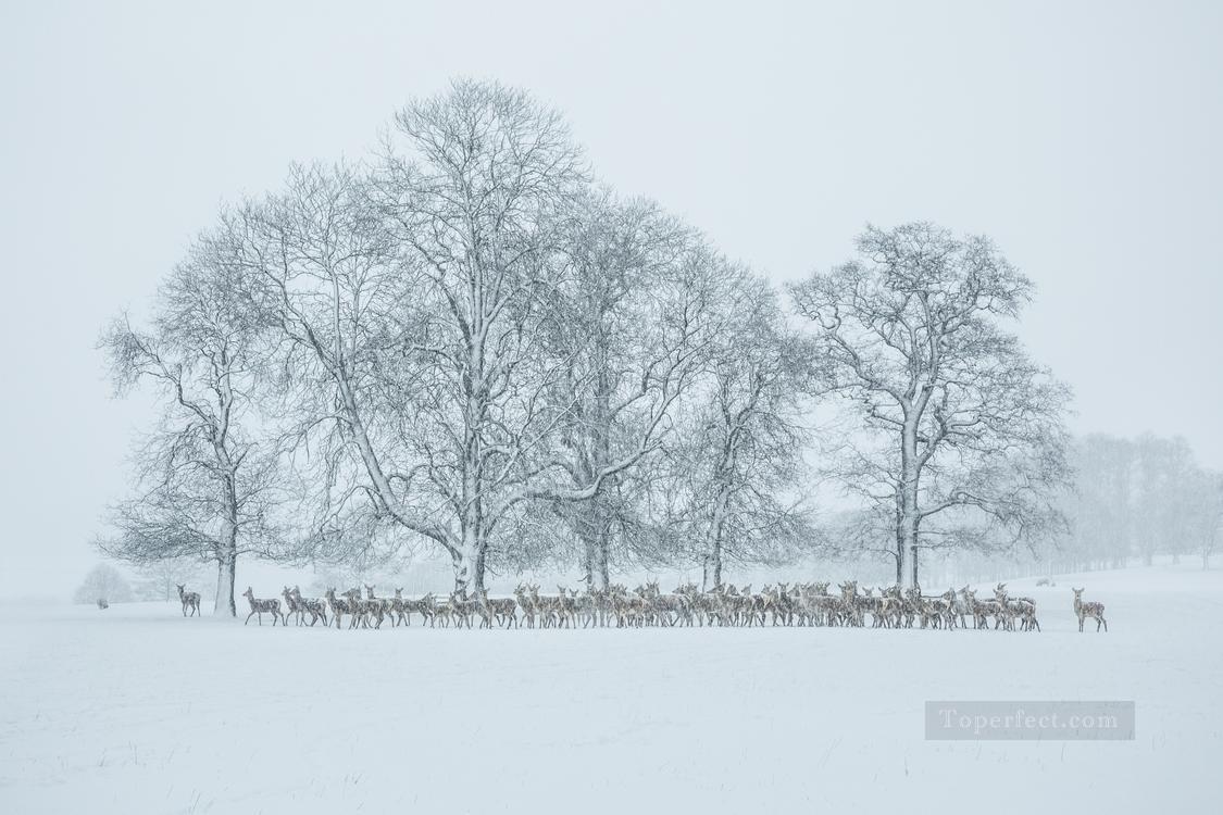 realistic photography 09 winter landscape deer Oil Paintings